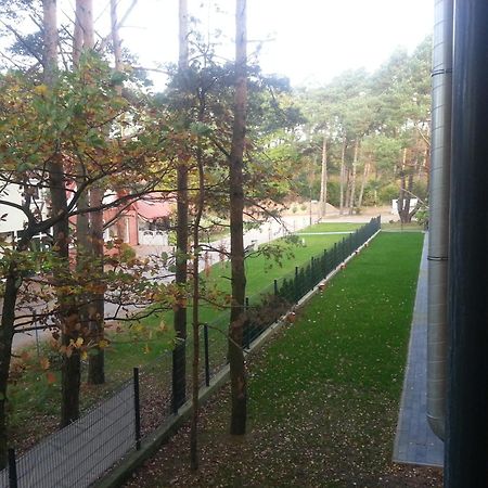 Rajska Plaza Poddabie Basen Odkryty Brodziki Basen Kryty Plac Zabaw Animacje Luaran gambar